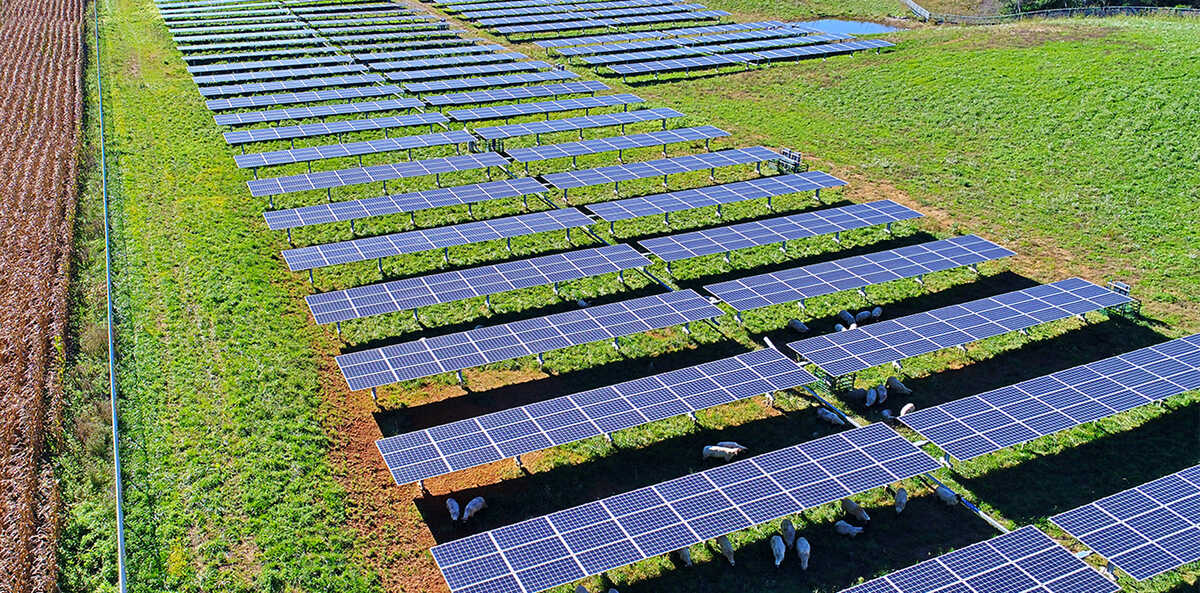 A column of Secure Solar Futures solar panels stands in a bright green field.