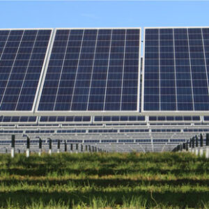 A detailed view of ground mounted solar panels shows the grass beneath the array with shadows being cast by the canopy structure.